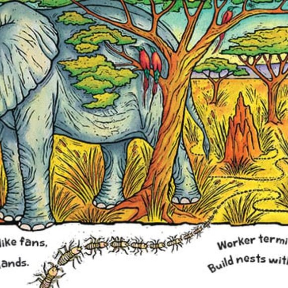 NWT Barefoot Books Home For A Tiger Home For A Bear - Picture 3 of 4